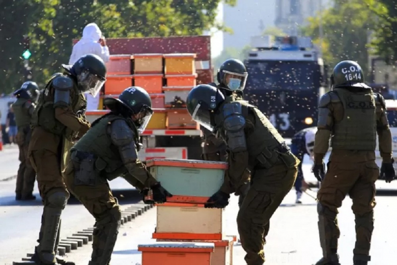 В Чили пчёлы покусали полицейских в ходе протеста